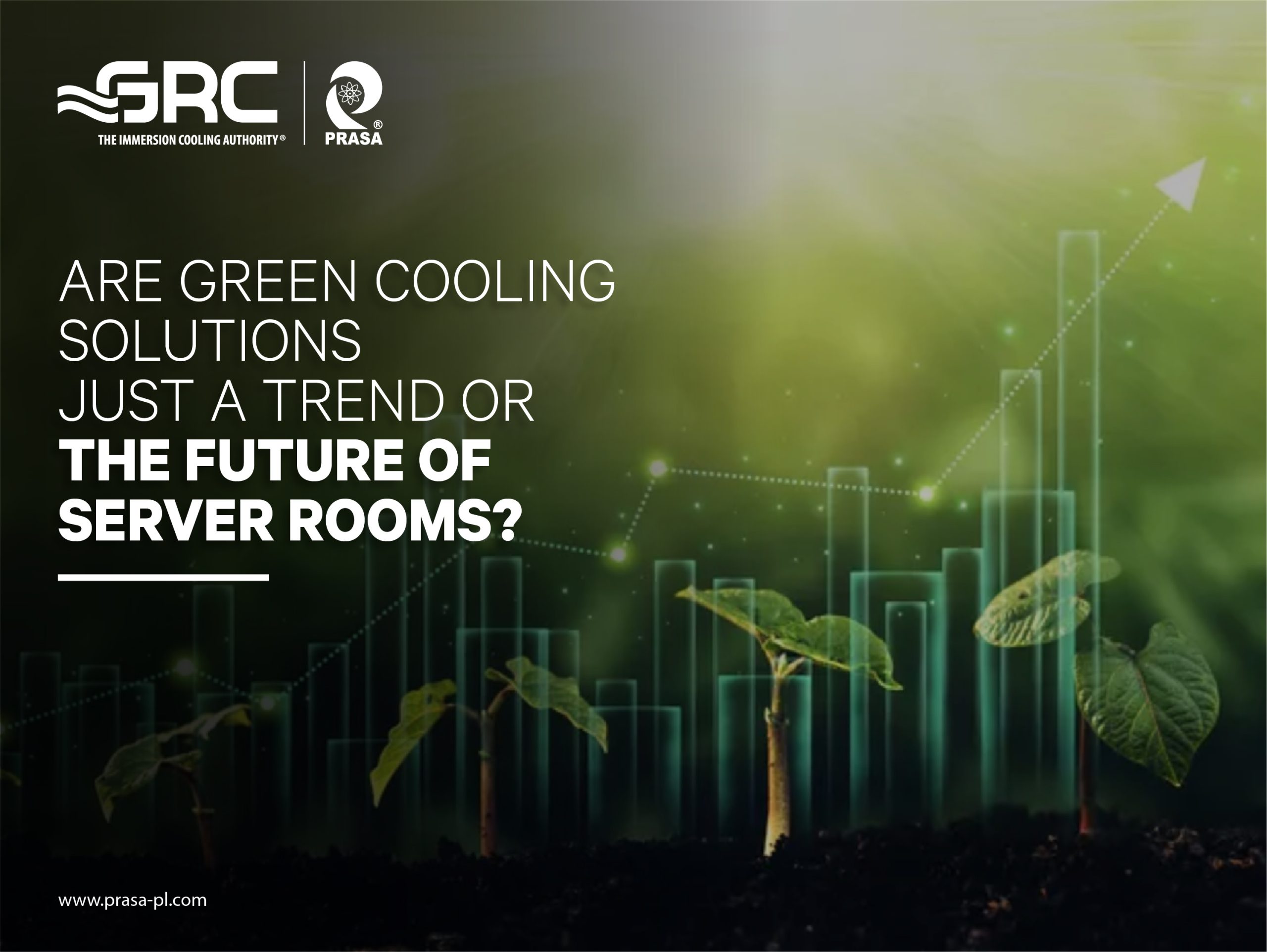<strong>Are Green Cooling Solutions Just a Trend or the Future of Server Rooms?</strong>